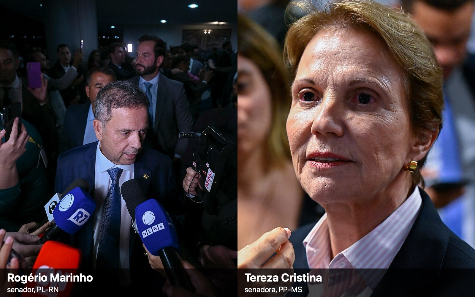 Montagem com dois retratos: o senador Rogério Marinho (PL-RN), à esquerda, cercado por microfones, e a senadora Tereza Cristina (PP-MS), à direita, em entrevistas no Senado.